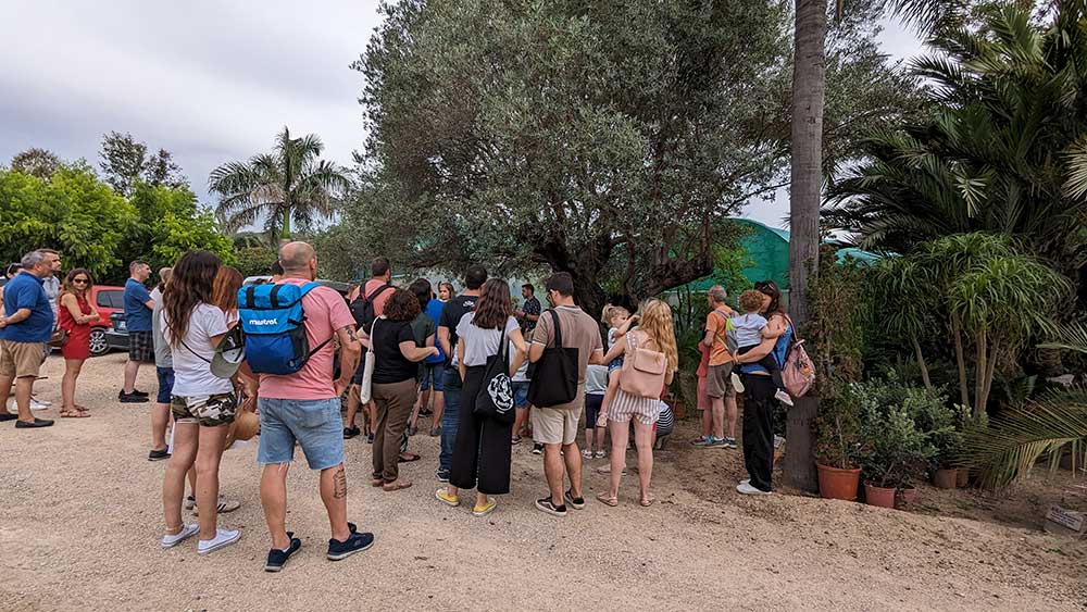 espera-el-eden-cientimagas