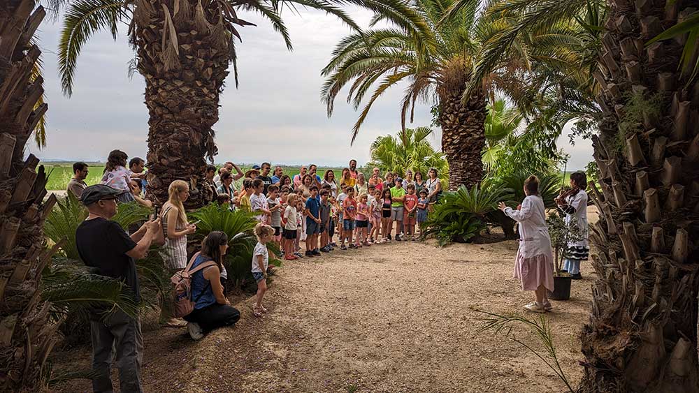 palmeras-el-eden-cientimagas